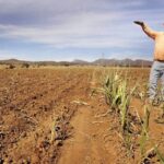 La Relevancia de los Datos de Campo para Medir el Cambio Climático.