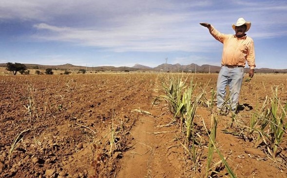 La Relevancia de los Datos de Campo para Medir el Cambio Climático.