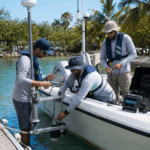Cable Route Survey: el estudio que puede ahorrar millones antes de instalar un cable submarino